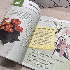 Master Books GOD’S DESIGN LIFE FOR BEGINNERS Homeschool Science Gr K-2
