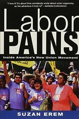 Labor Pains: Stories from Insi – VERY GOOD