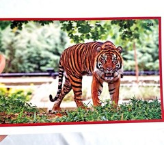 300 Nouns~vocabulary/speech Sounds/therapy/Color Photos. MADE IN THE USA!