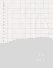 Grid Paper: Quad Rule graph paper,8.5 x 11 (5×5 graph paper) 100 pages by Cathy