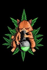 120 Pages DINA5: Cannabis Graphic Jorunal Book For Marijuana Smoker 120 Pages…