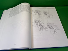 Zollinger’s Atlas of Surgical Operations, Seventh Edition, Mcgraw Hill 1993