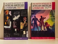 Norton Anthology of African American Literature Third Ed. Like New Volume 1 & 2