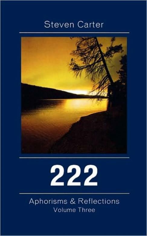 222: Aphorisms & Reflections, Volume Two