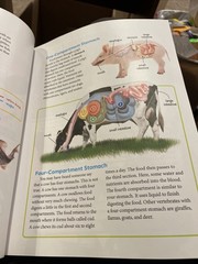 BJU Press Science 4 Student Textbook Fifth 5th Edition