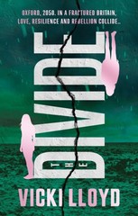 The Divide by Vicki Lloyd (Paperback Book)