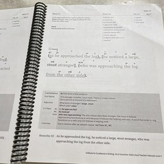 Fix It! Grammar Robin Hood Level 3 Teacher’s Manual Spiral 2022 IEW