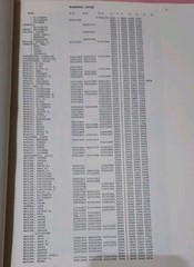 Vintage 1966 Amish Genealogy Holmes County Ohio & Vicinity Ancestry Directory