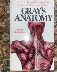 Gray’s Anatomy Paperback Running Press Henry Gray 1901 Illustrated Textbook