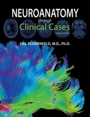 Neuroanatomy Through Clinical Cases by Hal Blumenfeld: New