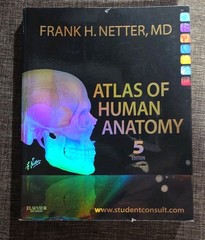 Atlas of Human Anatomy 5th Edition by Frank H. Netter MD Illustrated Elsevier