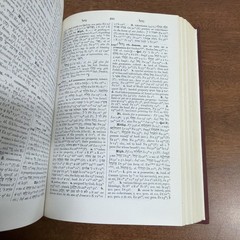 The New Brown, Driver, Briggs Gesenius: Hebrew & English Lexicon