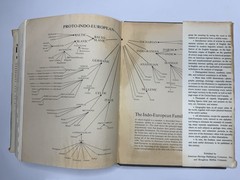 1969 The American Heritage Dictionary Of The English Language Good Rare