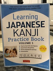Learning Japanese Kanji Practice Book Volume 1 By Eriko Sato