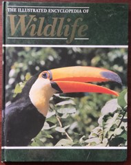 THE ILLUSTRATED ENCYCLOPEDIA OF WILDLIFE-VOLUME 22- Pages 1261-1320 -Hardback 📚