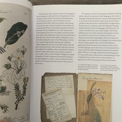 The Gardener’s Botanical: An Encyclopedia of Latin Plant Names 5000 Entries