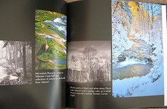 Tom Dwyer – Contrasts, Rare Nature Photography Hardcover Book