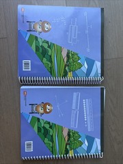 Primary Mathematics 4A and 4B Teachers Guides Homeschool Teachers Singapore