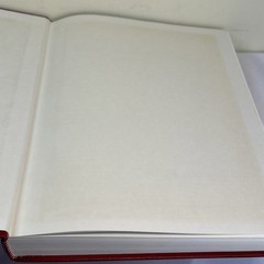 Institute in Basic Youth Conflicts : Research in Principles of Life /Decor Red