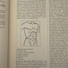 A Practical Dictionary of Chinese Medicine (2nd Ed) by Nigel Wiseman & Feng Ye