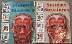 System Structures & Diseases Disorders (The Worlds Best Anatomical Chart Books)