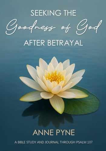Seeking the Goodness of God after – Paperback, by Pyne Anne – Very Good