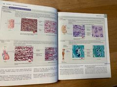 Principles of Anatomy and Physiology by Bryan H. Derrickson and Gerard J….