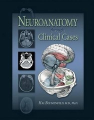 Neuroanatomy, Blumenfeld, Hal