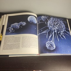 The Body Victorious THE ILLUSTRATED STORY OF OUR IMMUNE By Lennart Nilsson, Used