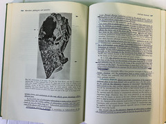 Principles of Microbiology Fifth Edition Alice Lorraine Smith 1965