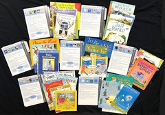 1st Grade – FOUNTAS & PINNELL – Interactive Read-Aloud (33 books) (Sets 13-19)