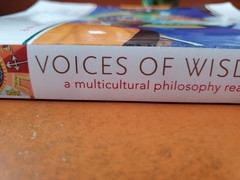 Voices of Wisdom: A Multicultural Philosophy Reader 9e by Gary Kessler: Used