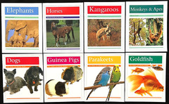 2nd Grade – RIGBY PM COLLECTION – ANIMAL FACTS READERS (8 books) (2013)