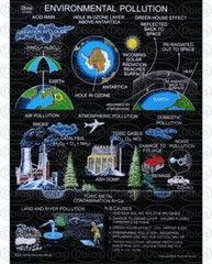 Educational Charts/Posters For Environmental Science (Set of 4 charts/posters)