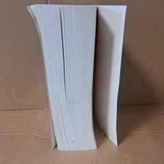 The New Jerome Biblical Commentary printed 1991 paperback