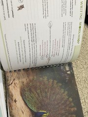 The Good And The Beautiful Level 4 Language Arts Course & Writing Book