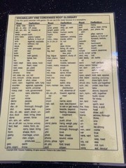 Vocabulary Vine – Word Roots & Definitions Bingo & Magnetic US States Puzzle