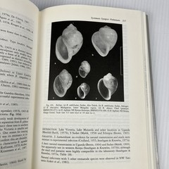 Freshwater Snails of Africa and Their Medical Importance 2nd ed by David Brown