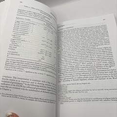 Mobilizing for Human Rights : International Law in Domestic Politics by Beth A.
