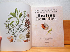 Illustrated Encyclopedia of Healing Remedies by C. Norman Shealy (2002) trade pb