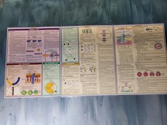Bar Charts Quick Study Biology Chart
