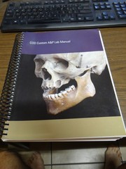COD Custom A&P Lab Manual 978‑0‑137‑75068‑9, 2023