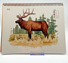 Master Set Explore Bowhunting Curriculum 2nd Ed ATA TPWD Anatomy Flip Book CD Ma