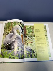 Birds Birds Birds: Boreal Birds of North America/Birds in Bloom/Canaries..LOTOF5
