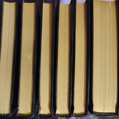 The New Webster’s Reference Book Set Vintage Desk Office Shelf Decor Retro Books