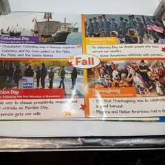 McGraw Hill Reading Wonders Teaching Posters Set of 20 Posters Double Sided
