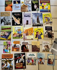 Fountas & Pinnell LLI Red System Grade 3 Lessons 129-160 Level P, 25 Books NEW