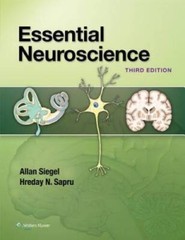 Essential Neuroscience – Paperback By Siegel PhD, Allan – GOOD