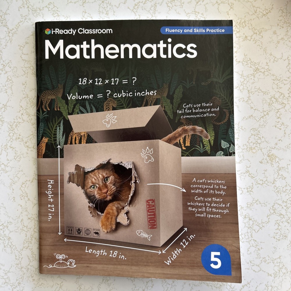 i-Ready Classroom Mathematics Grade 5 Fluency And Skills Practice Workbook