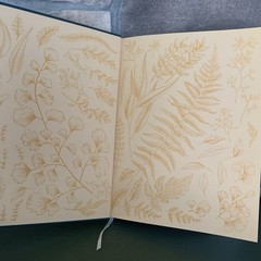 The Gardener’s Botanical: An Encyclopedia of Latin Plant Names 5000 Entries